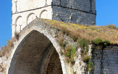 La dernière tranche des travaux de rénovation de l’abbaye est en cours